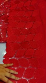 Bareeze 2pcs Lawn Article