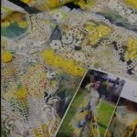 Aneela's 3Pcs New Elegant Lawn Article